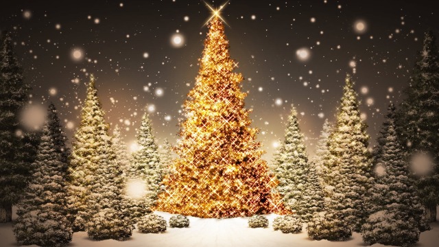 Glowing-Christmas-Tree